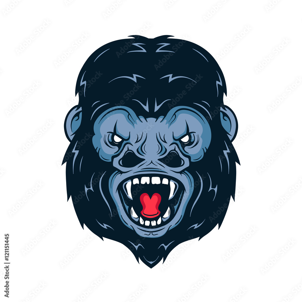Fototapeta premium Angry gorilla head vector illustration. Isolated on white background