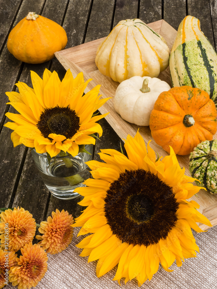Herbstliches Stillleben, Tablett mit Kürbissen und Blüten von Sonnenblumen und Astern auf hölzernem Untergrund Herbstliches Stillleben, Tablett mit Kürbissen und Blüten von Sonnenblumen und Astern auf hölzernem Untergrund