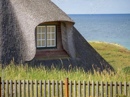 Fototapeta Naklejka Na Ścianę i Meble -  Thatched roof in northern Germany near North Sea
