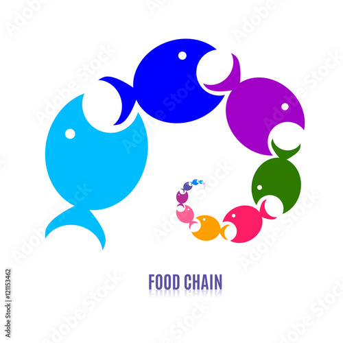 Spiral made of multicolor fish, food chain, predators concept. Vector illustration