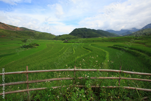 Rice fields on terraced of Xa Nam Bung  Vietnam