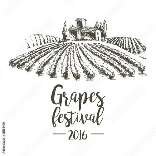 Grapes festival. Lodge with vineyards. Illustration for design.