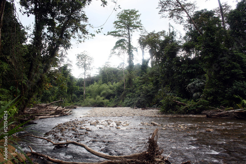 Paku river, Gunung Mulu National Park, Miri division, Sarawak, Malaysia, Borneo photo