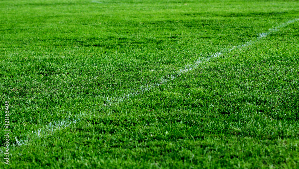 white line of soccer field. sport theme white line of soccer field. sport theme