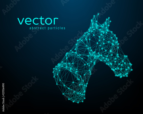 Abstract vector illustration of horse head.