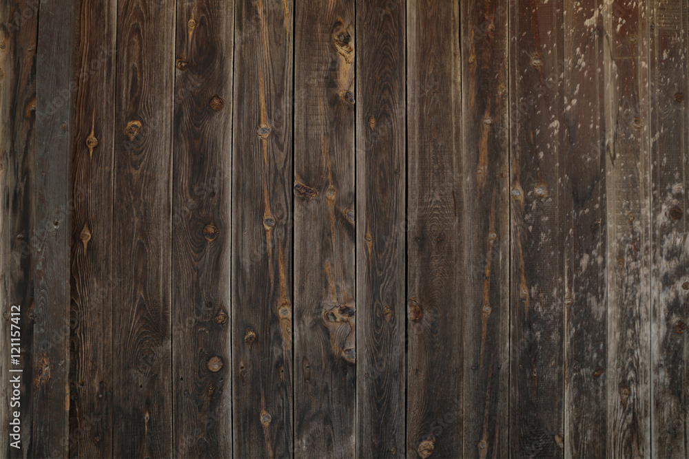 Fototapeta premium Wood texture