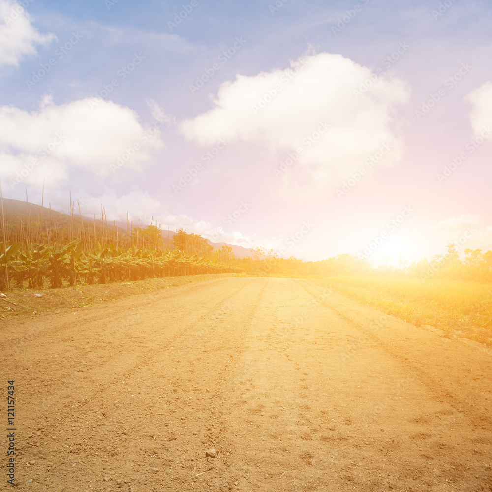 Fototapeta premium empty farm with yellow land