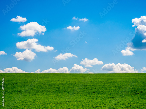 blue summer sky and fresh green grass summer scene