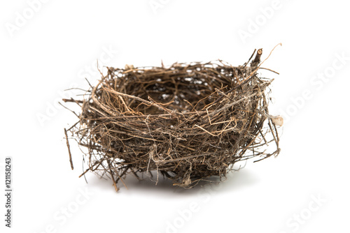 bird's nest isolated photo
