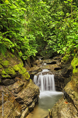 Tiskita Falls, Costa Rica