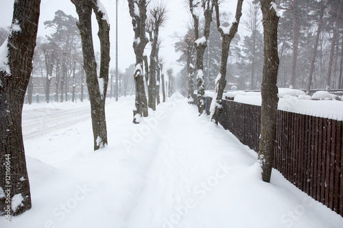Snowy path in an alley
