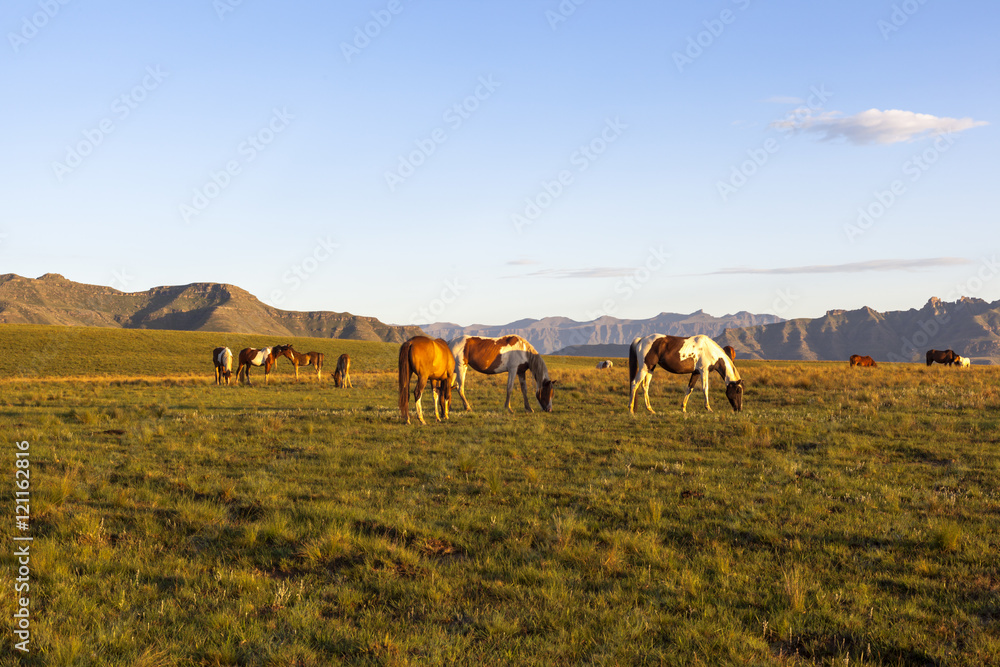 Horse near the mountains