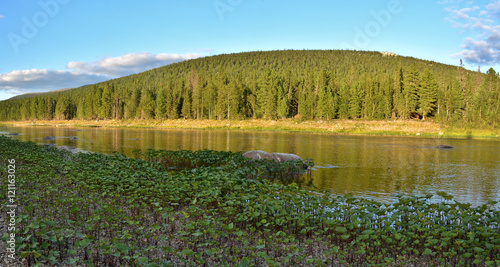 River panorama in the national Park 