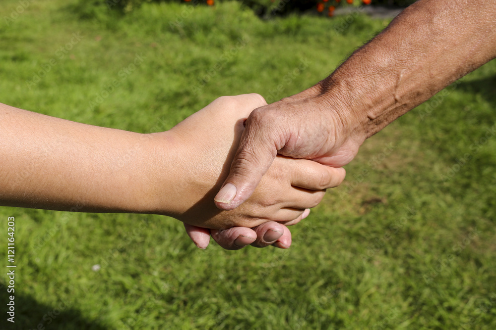 Handshake farmers on a background of green grass . Male and female hands, handshake. The meeting of two people on fresh air outside the city. Handshake farmers on a background of green grass . Male and female hands, handshake. The meeting of two people on fresh air outside the city.