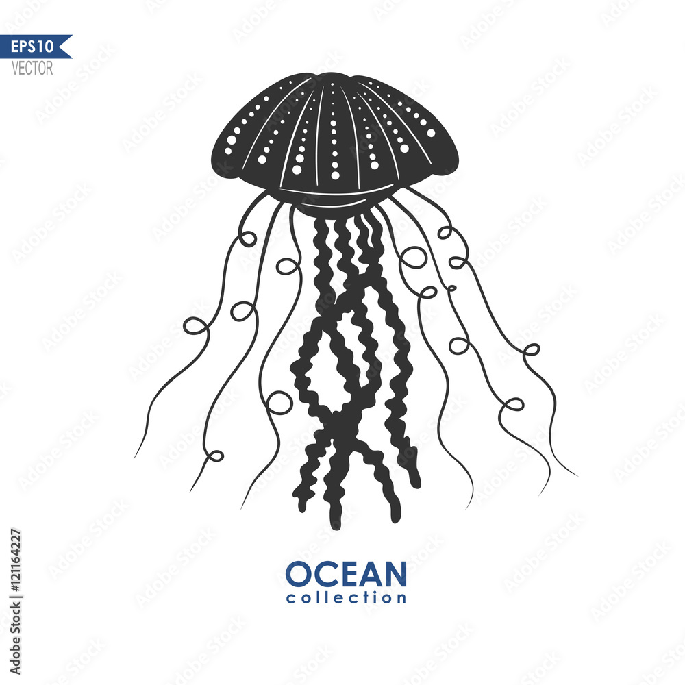 Naklejka premium oceanic jelly fish isolated on white