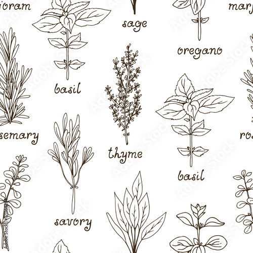 Herb and spices seamless background, vector herbs pattern
