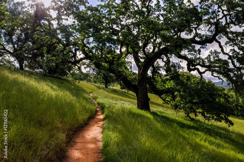 Corral Trail, Henry Coe State Park