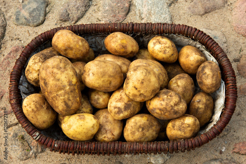 A basket full of potatoes on the stones photo