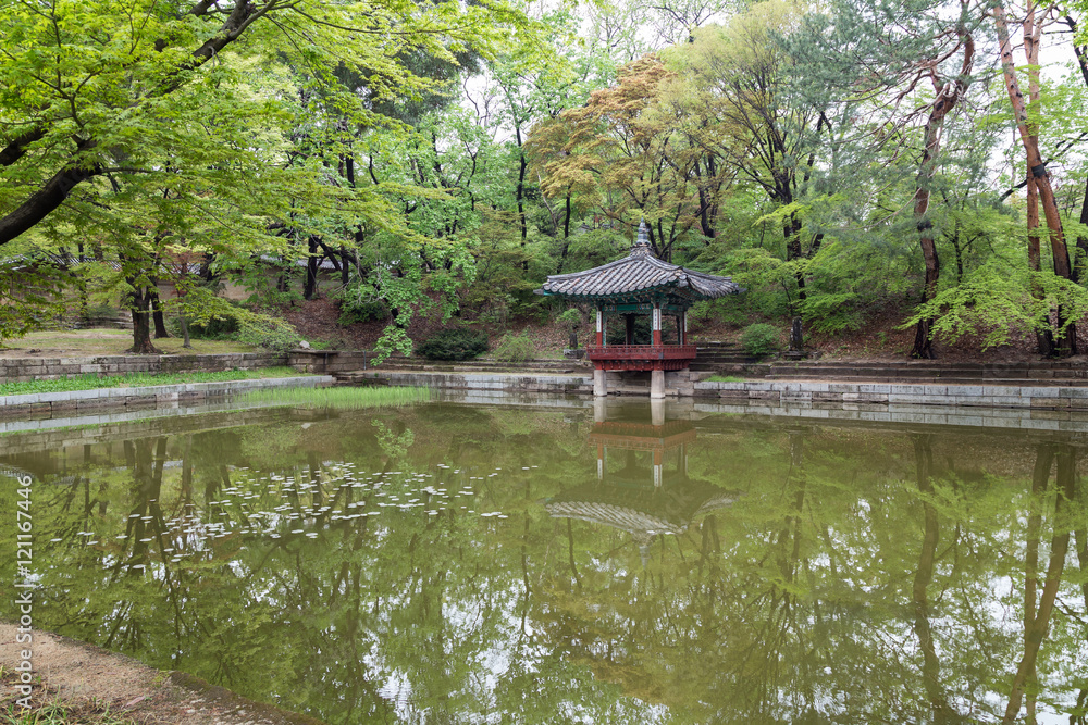 Aeryeonji Pond at Huwon (Secret Garden) at the Changdeokgung Palace in Seoul, South Korea.