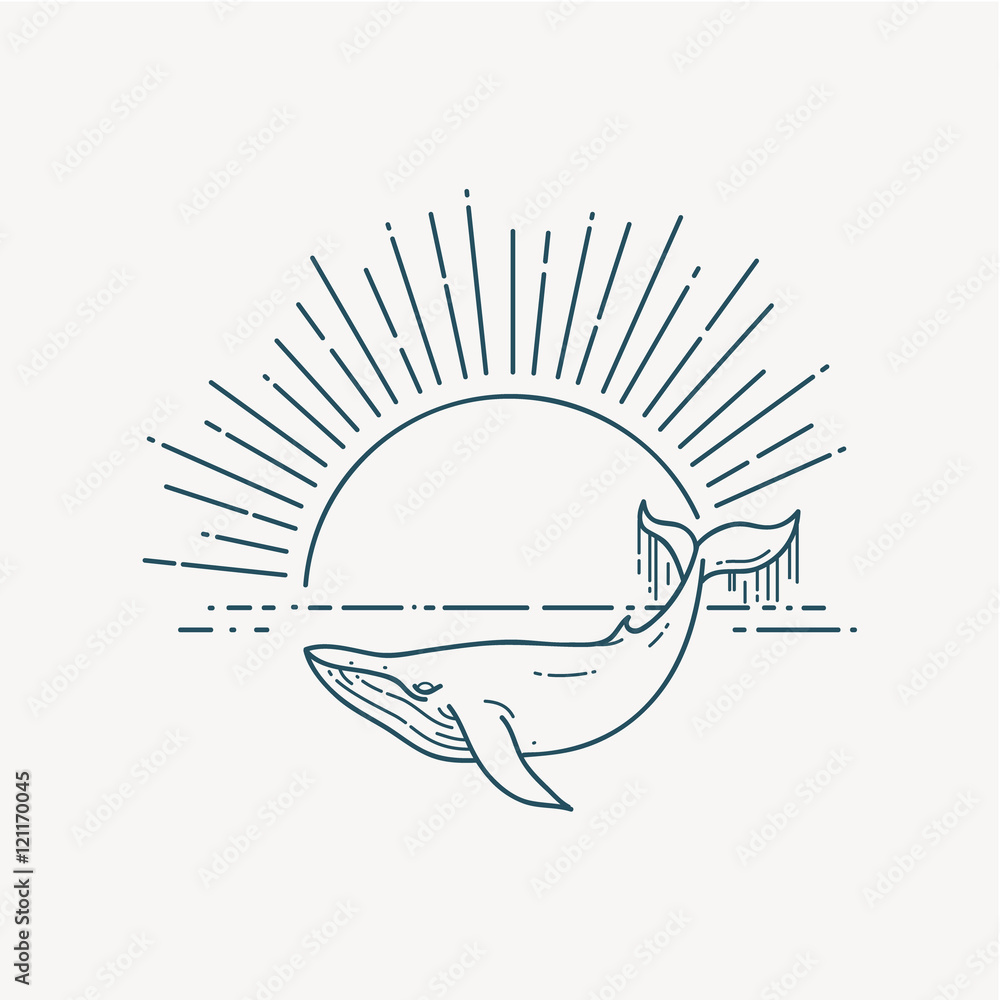 Modern flat linear vector illustration with Whale and sunrise Modern flat linear vector illustration with Whale and sunrise