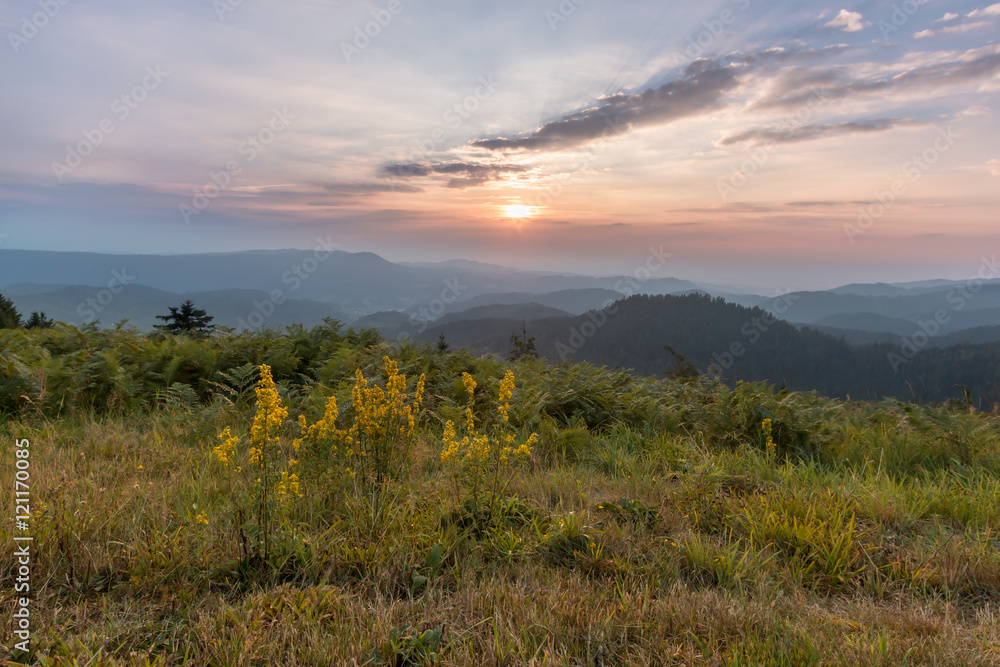 Sonnenuntergang im Schwarzwald Sonnenuntergang im Schwarzwald