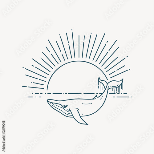Modern flat linear vector illustration with Whale and sunrise