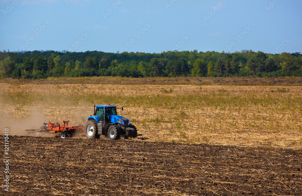 Obraz premium Big blue tractor plows the field and removes the remains of previously mown sunflower. Work agricultural machines. Harvest