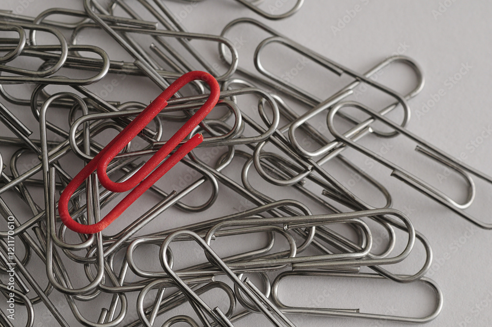 Steel paper clips with a single red paperclip Steel paper clips with a single red paperclip