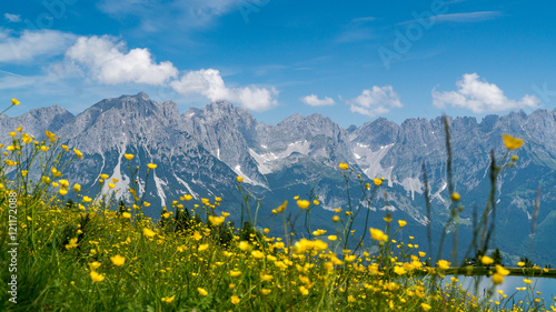 Bergwiese mit dem Kaisergebierge im Hintergrund
