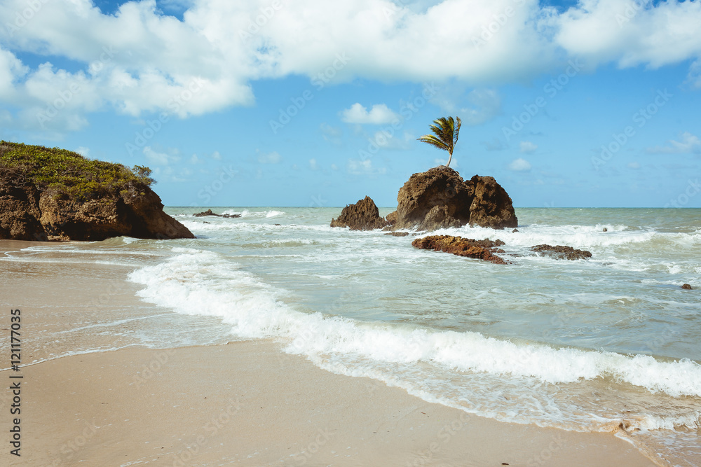 tambaba Tambaba beach. Official naturist/nudist beach in Brazil. Stock 写真 | Adobe Stock