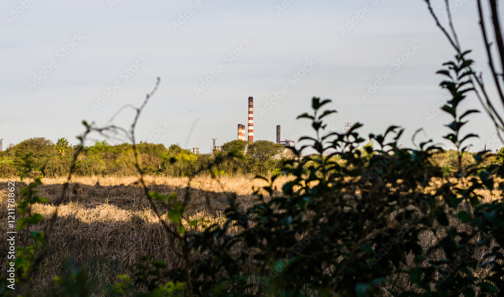 Chimneys of a factory amidst green trees and yellow grass in nature. Pollution concept. Chimneys of a factory amidst green trees and yellow grass in nature. Pollution concept.