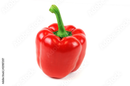 single pepper in red color on white background