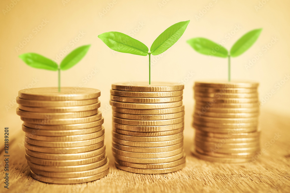 Growing plant on rows of coin money for finance and banking concept
Growing plant on rows of coin money for finance and banking concept