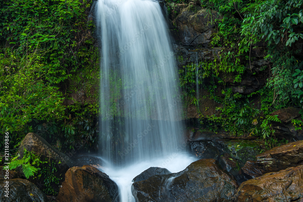 waterfall in the forest waterfall in the forest