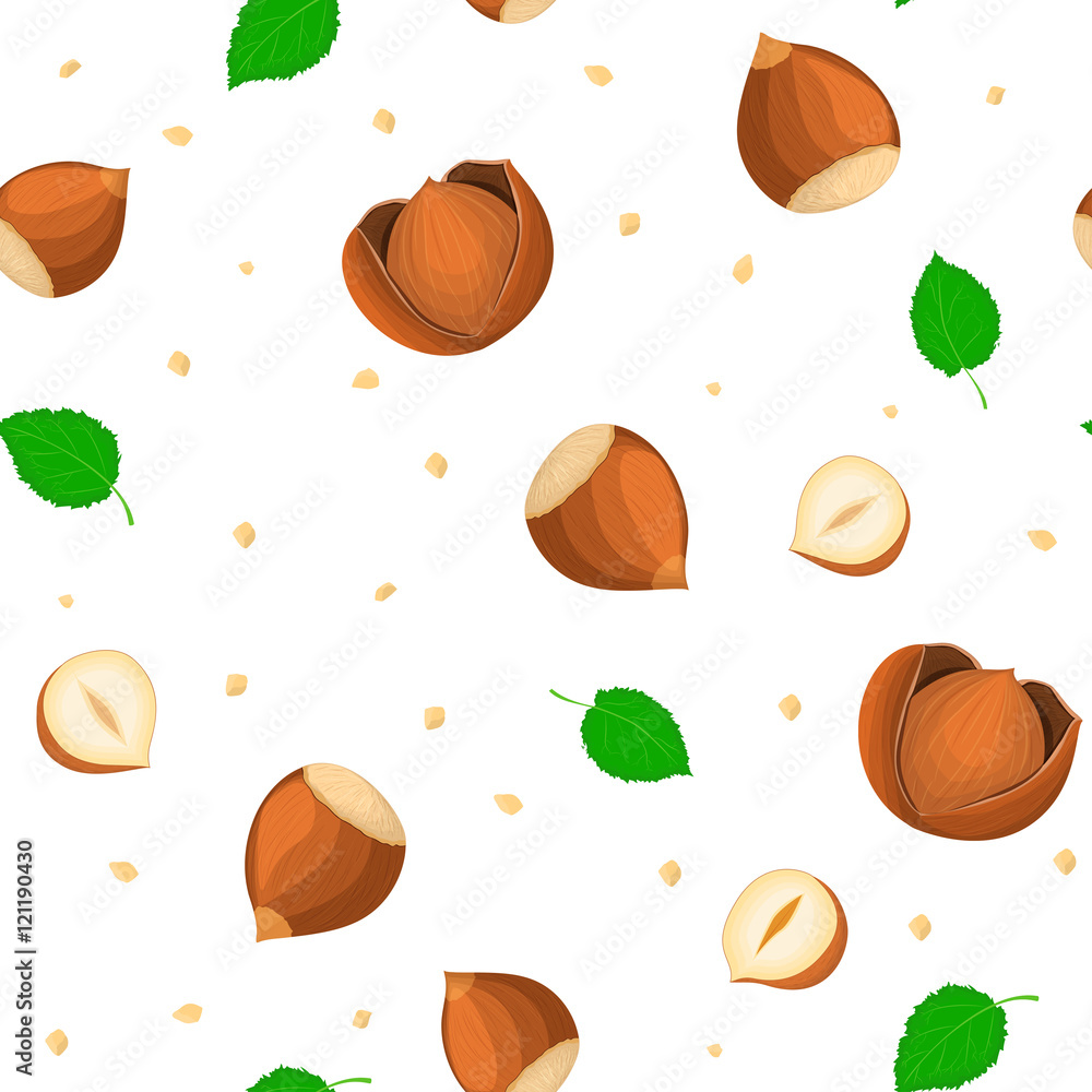 Vector seamless pattern hazelnuts with leaves. Illustration of walnut nut isolated on white background it can be used as packaging design element printing brochures on healthy and vegetarian diet