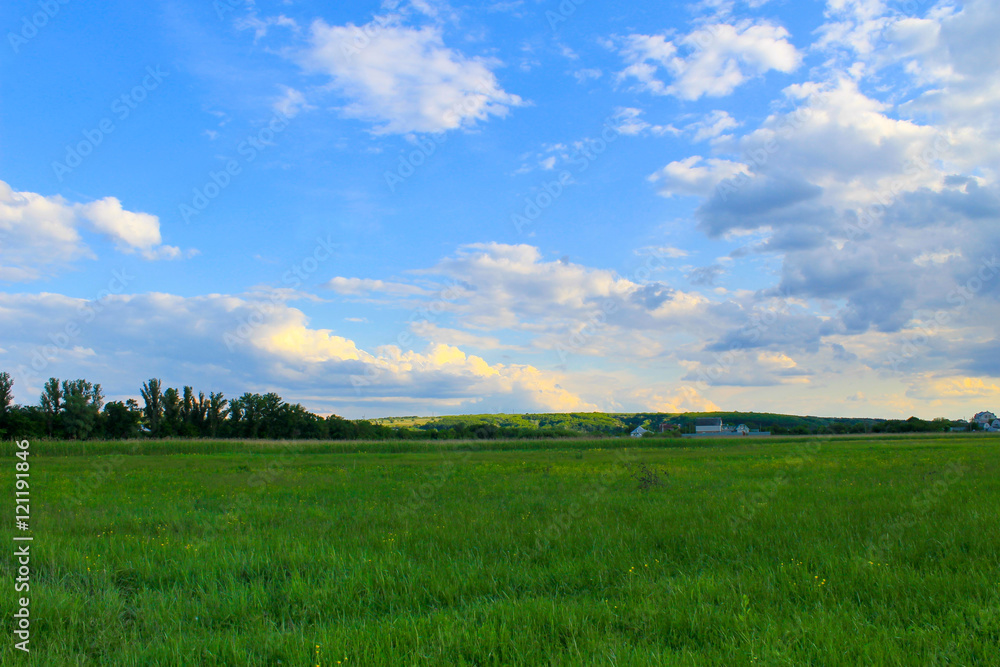 Obraz premium Green meadow and blue sky