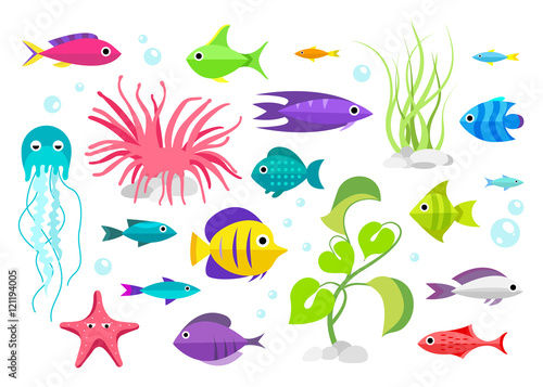 Cartoon fish collection set