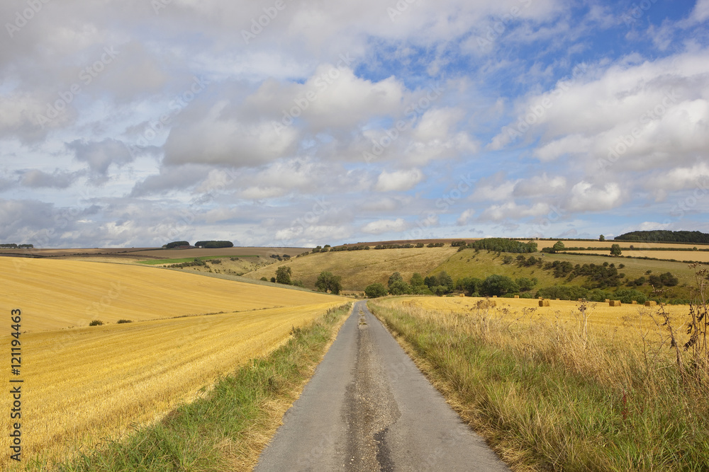 harvested fields with road