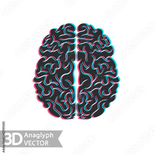 3D stereo illustration of brain