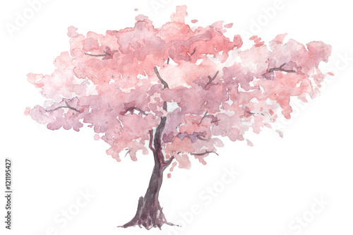 Fotomurale cherry trees watercolor illustration