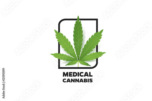 Realistic Marijuana leaf icon. Isolated on white background vector illustration. Medical Cannabis