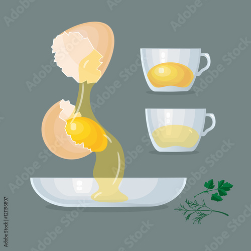 Eggs, yolks, glair, eggshells, glass bowl, cups. 