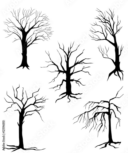 collection of silhouettes of trees, isolated on white background
