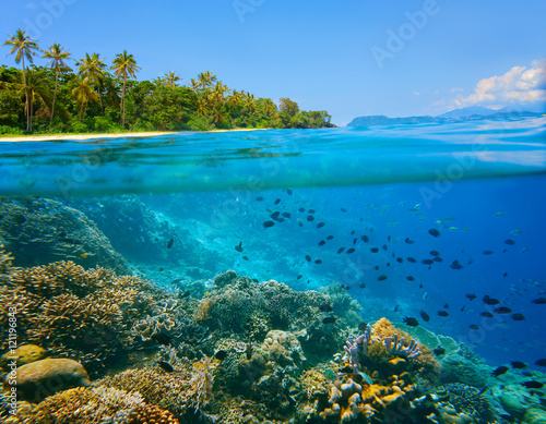 Coral reef in tropical sea on a background of green island