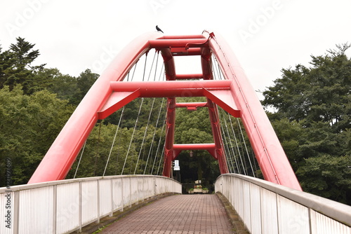 赤い橋とカラス