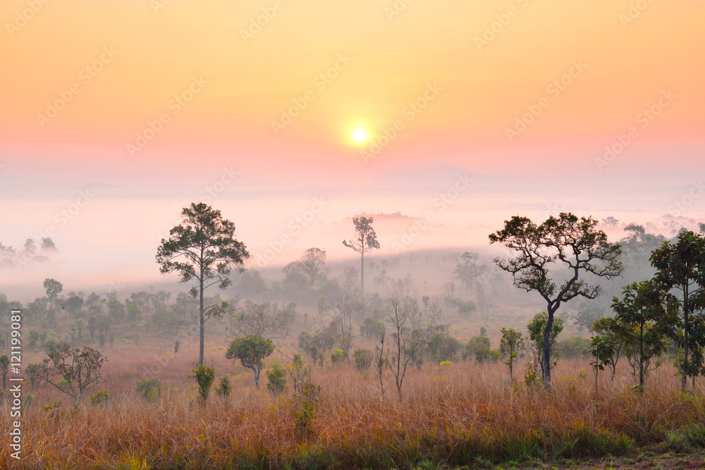 Obraz premium Thung Salang Luang