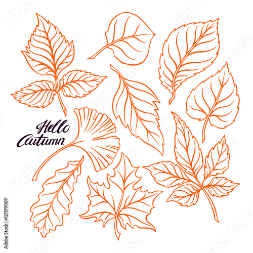 set of sketch autumn leaves