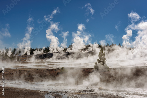 In the early morning, steam rises from hundreds of geysers in Norris Geyser Basin in Yellowstone National Park