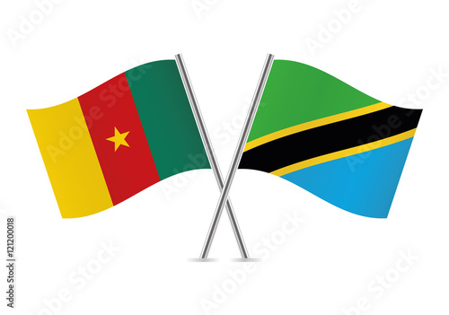 Cameroon and Tanzania flags. Vector illustration.