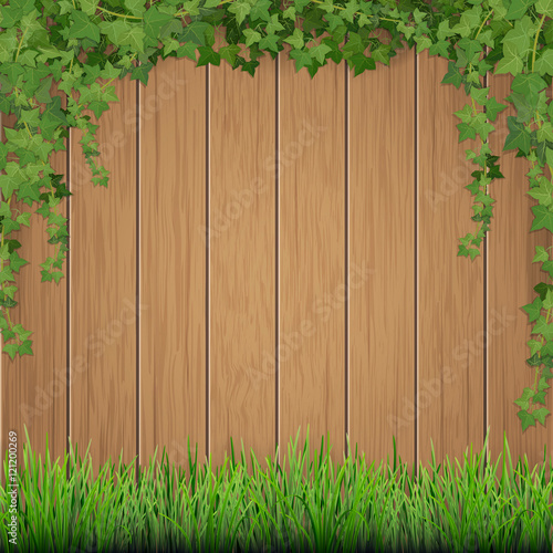 Grass and hanging ivy on old wooden planks background.